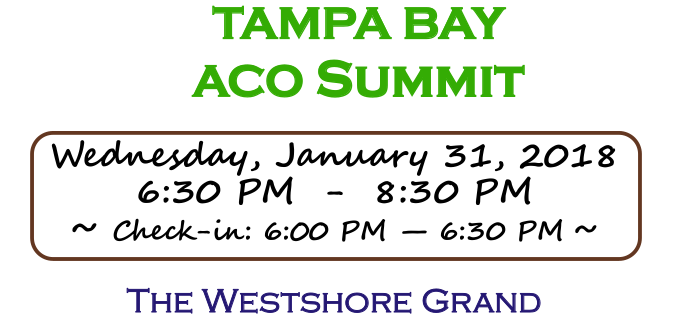 Tampa Bay ACO Summit – 2018